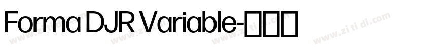 Forma DJR Variable字体转换